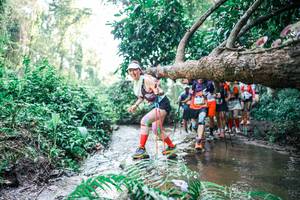 BIB: 
                            <button type="button" onclick="openModal(25467798)" class="btn btn-primary btn-sm float-right btn-popup" data-toggle="modal" data-target=".modal-high-quality">
                        <i class="fas fa-shopping-cart"></i> Add to Cart
                    </button>
                                            <button type="button" onclick="isThisMe(25467798, true)" class="btn btn-success btn-sm float-right btn-popup btn-isme hidden" data-toggle="tooltip" data-placement="bottom" title="นี่คือรูปของคุณใช่ไหม คลิกที่นี่เพื่อเอาเข้าอัลบั้ม">
                        <i class="fas fa-plus"></i> Add to album
                    </button>
                    <button type="button" onclick="isThisMe(25467798, false)" class="btn btn-warning btn-sm float-right btn-popup btn-isnotme hidden">
                        <i class="fas fa-ban"></i> Remove from album
                    </button>